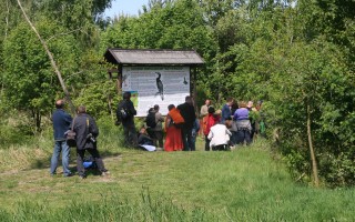 Rezerwat kormoranów