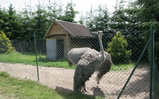 Rodzinne Centrum Rekreacji