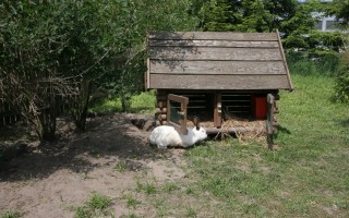 Rodzinne Centrum Rekreacji