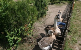 Rodzinne Centrum Rekreacji